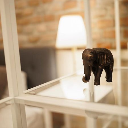 Jolie Flat In The Heart Of The City Timisoara Exterior photo