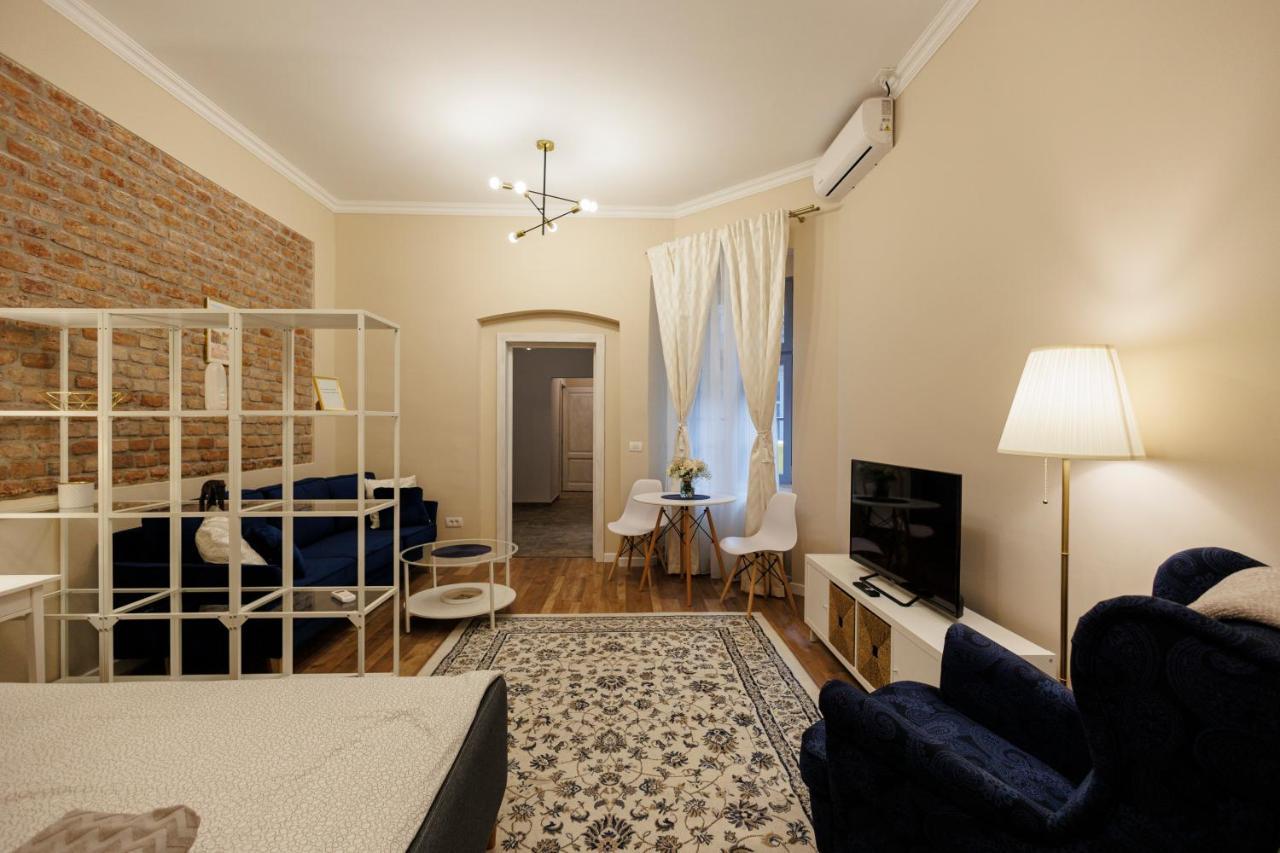 Jolie Flat In The Heart Of The City Timisoara Exterior photo